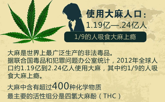 据联合国毒品和犯罪问题办公室统计，2012年全球人口约1.19亿到2.24亿人使用大麻，其中约1/9的人吸食大麻上瘾。