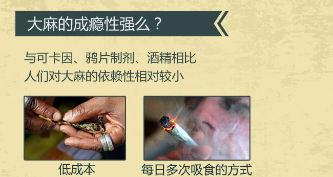 神经障碍 记忆和行为损害 影响免疫系统 影响运动协调