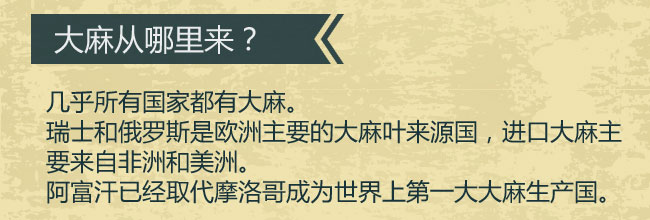 大麻从哪里来？